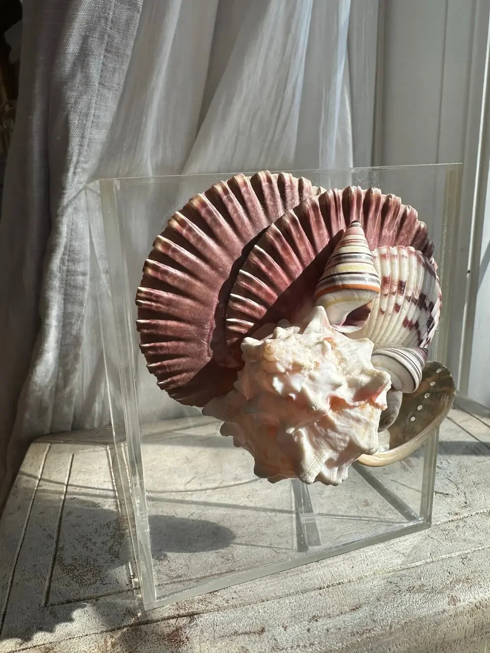 Clear Acrylic Tissue Box Cover Holder Sea Shells vintage 6” marine nautical